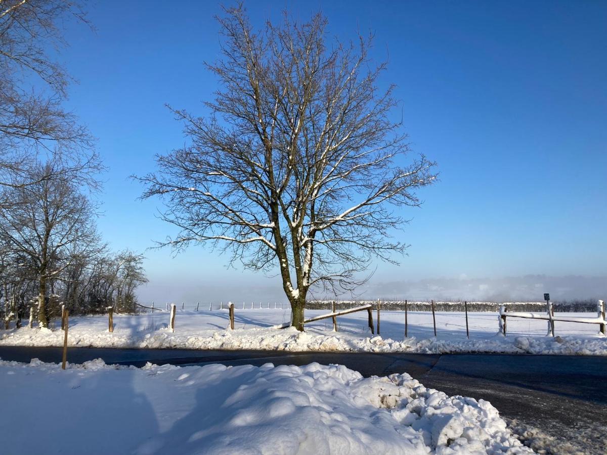 Ferienhof A&B Wellness Villa 12 Personen Hunningen 外观 照片