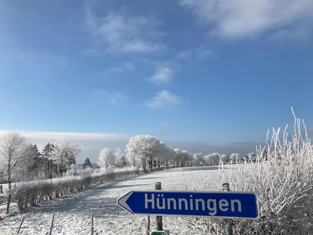 Ferienhof A&B Wellness Villa 12 Personen Hunningen 外观 照片